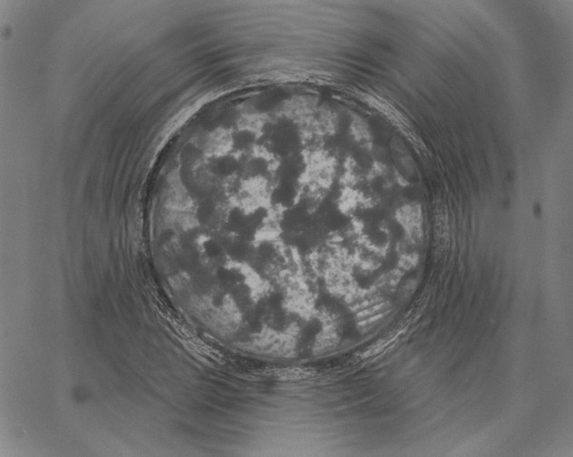 X0000066531023200604071611