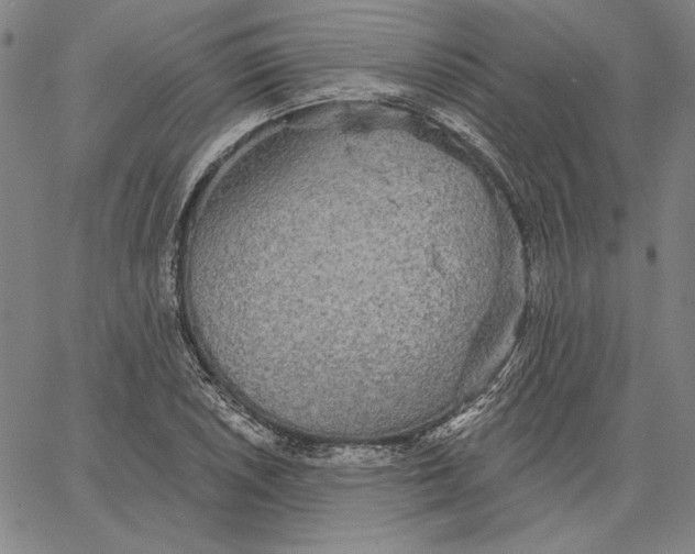 X0000066531026200604071612