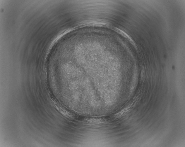 X0000066531027200604071612