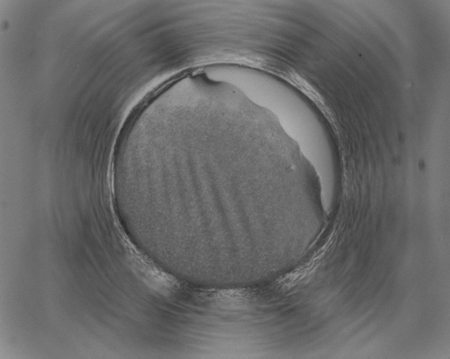 X0000066531028200604071612