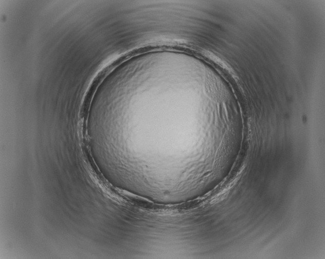 X0000066531029200604071612