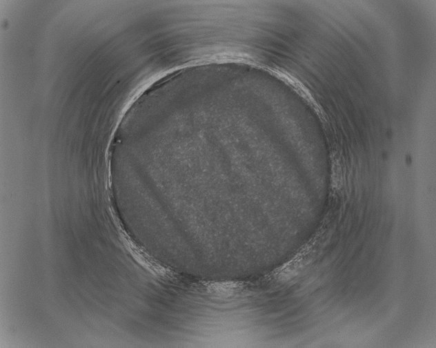 X0000066531031200604071612