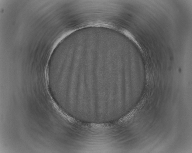 X0000066531032200604071612