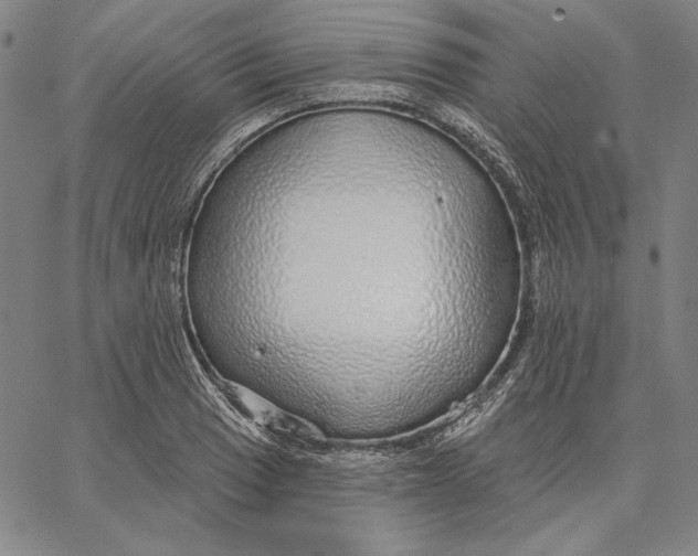 X0000066531033200604071612