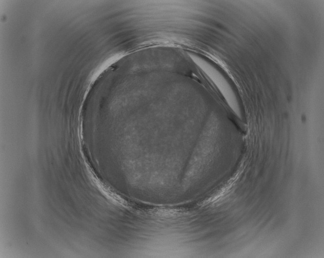 X0000066531034200604071612