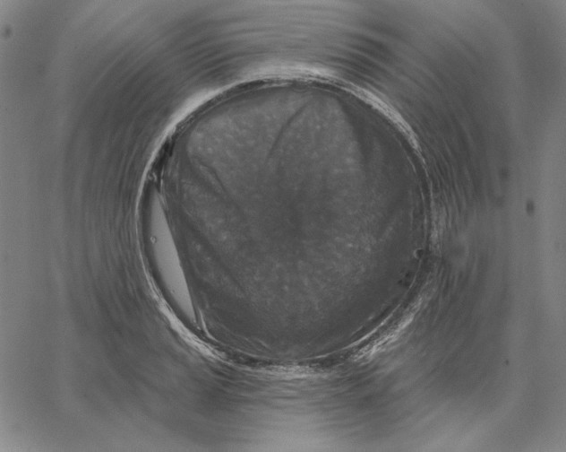 X0000066531037200604071612