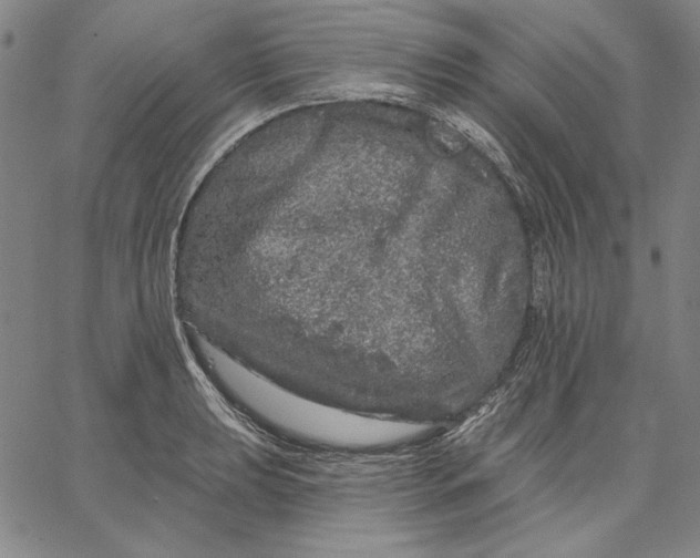 X0000066531039200604071612