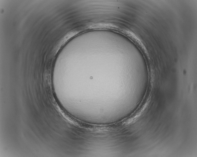 X0000066531041200604071612