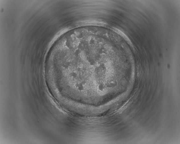 X0000066531043200604071612