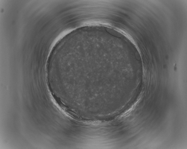 X0000066531045200604071612