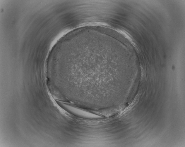 X0000066531046200604071612