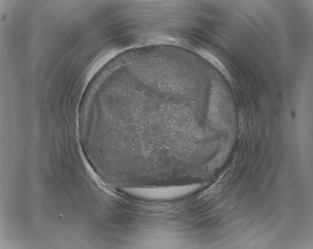 X0000066531047200604071612