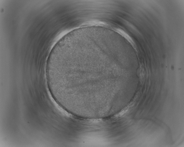 X0000066531055200604071612