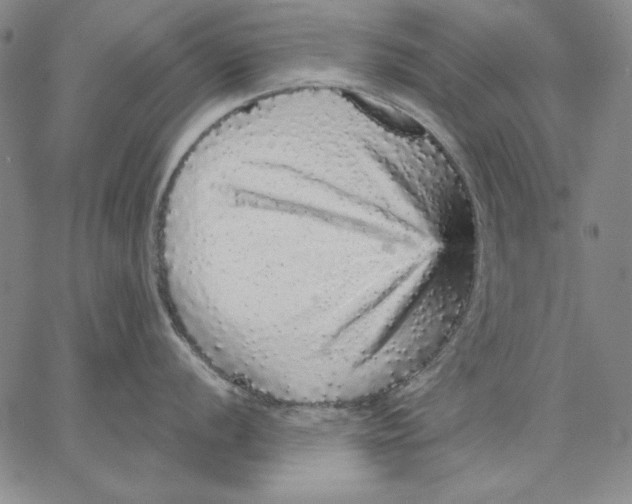 X0000066531056200604071612