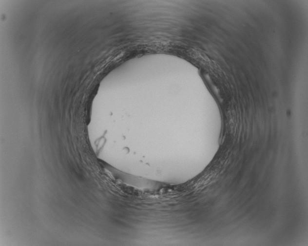 X0000066531057200604071611