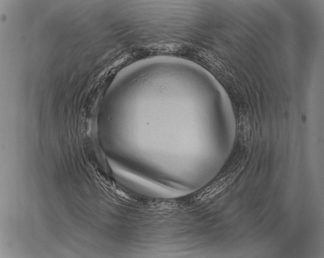 X0000066531058200604071611