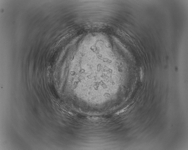 X0000066531059200604071611