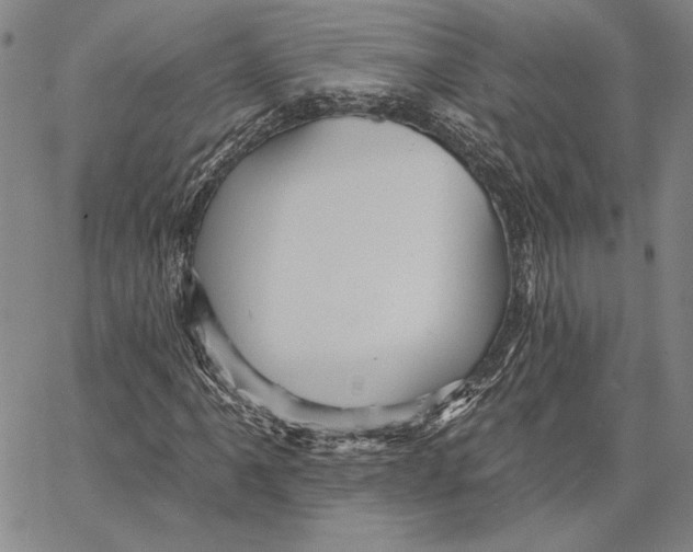 X0000066531061200604071611