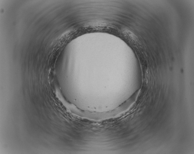 X0000066531062200604071611