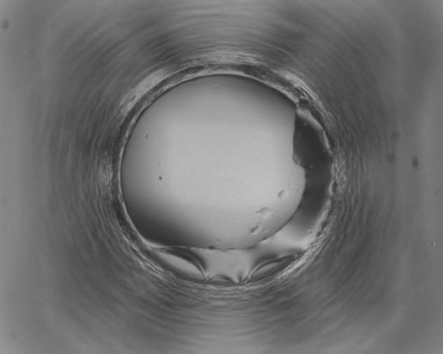 X0000066531065200604071611