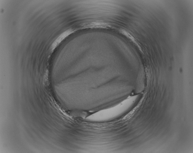 X0000066531066200604071611