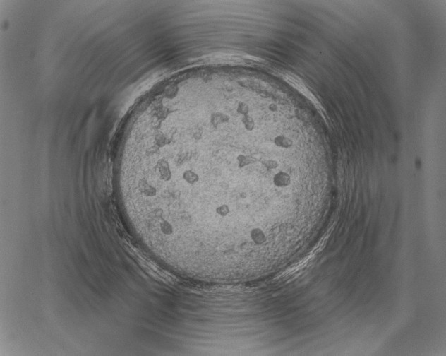 X0000066531067200604071611