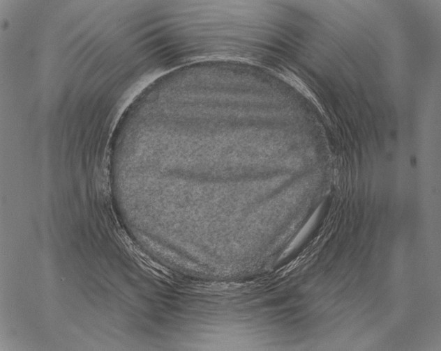 X0000066531068200604071611