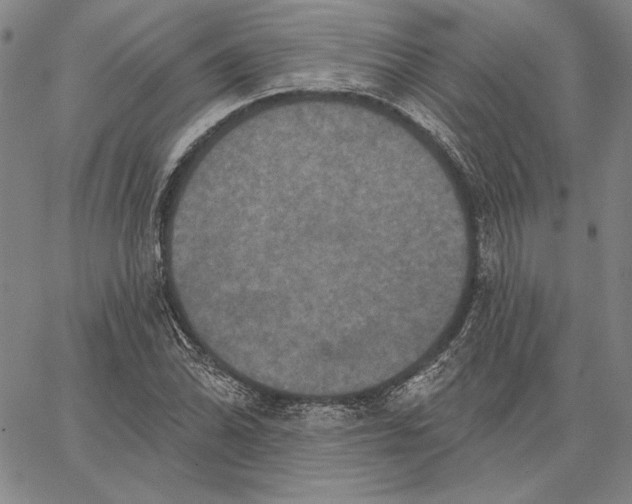 X0000066531070200604071611