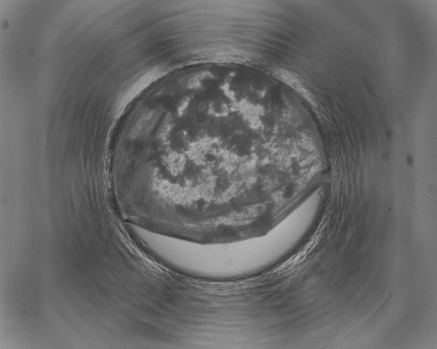 X0000066531071200604071611