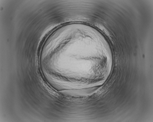 X0000066531072200604071611