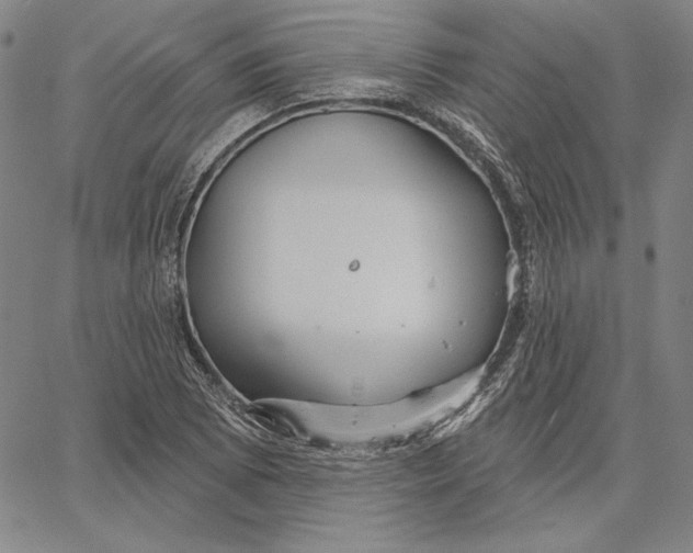 X0000066531073200604071611