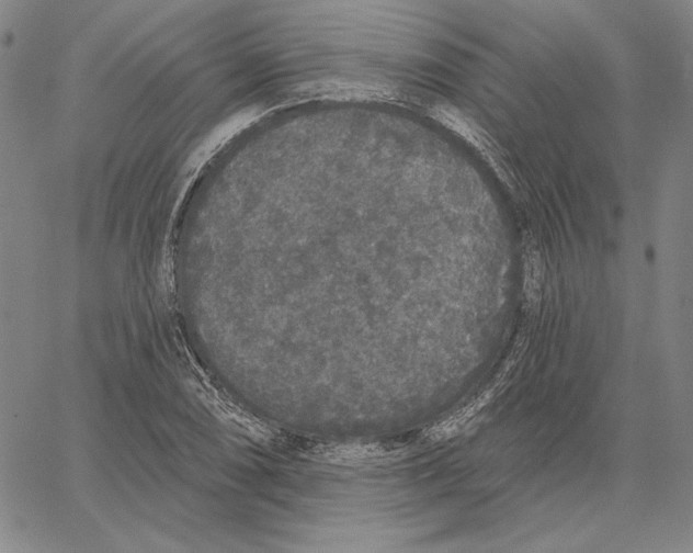 X0000066531074200604071611