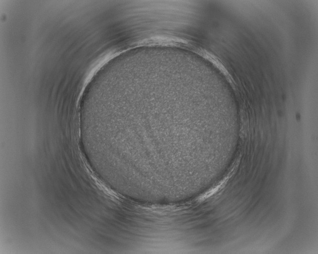 X0000066531075200604071611