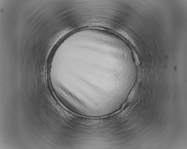 X0000066531076200604071611