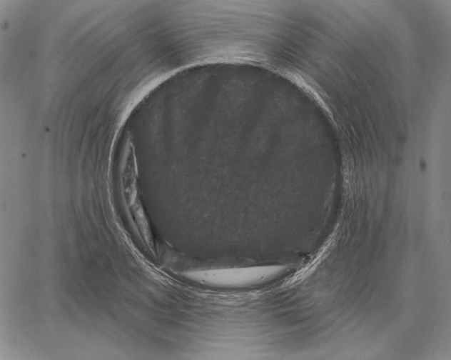 X0000066531077200604071611