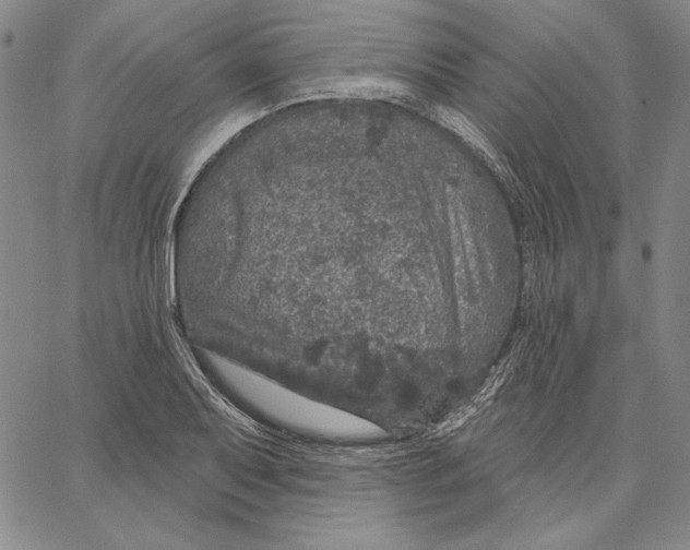 X0000066531079200604071611