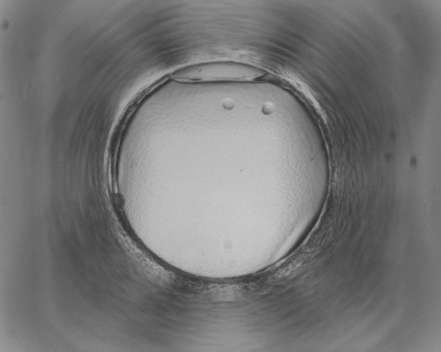 X0000066531080200604071611