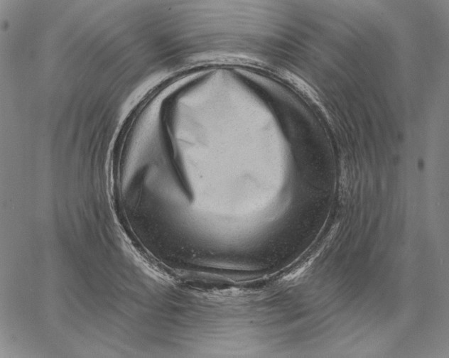 X0000066531082200604071611