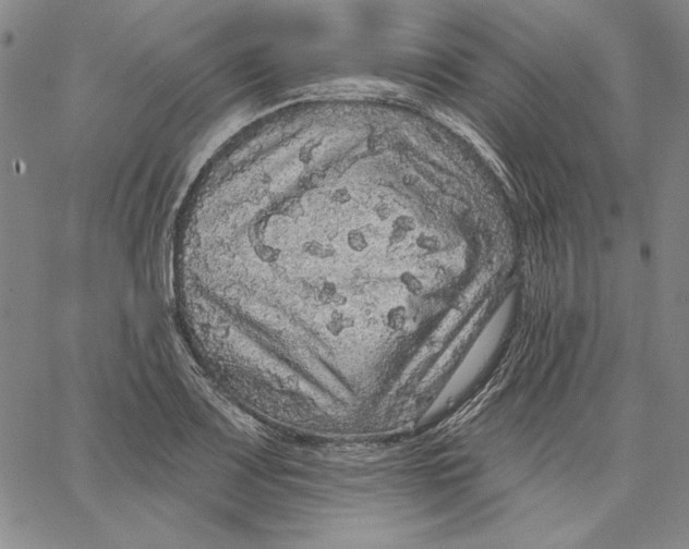 X0000066531083200604071611