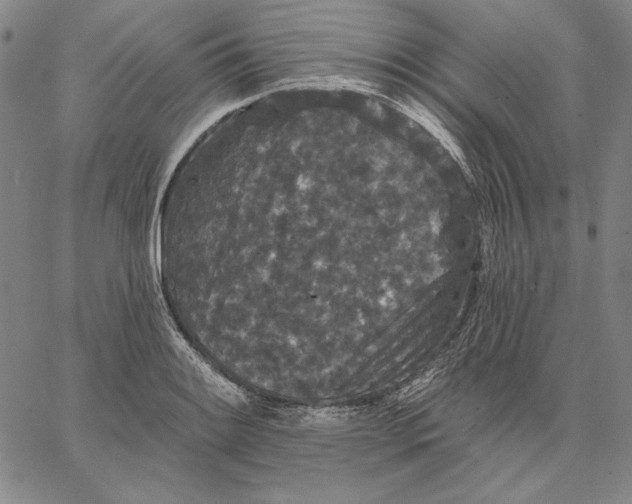 X0000066531084200604071611