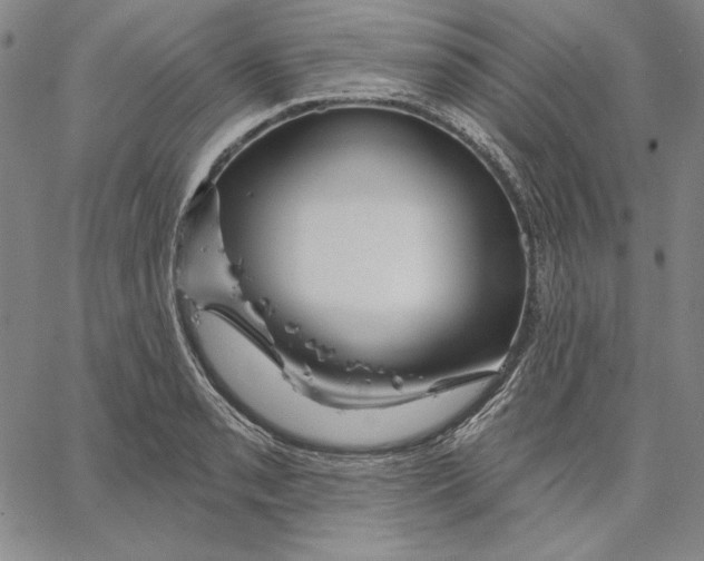 X0000066531085200604071611