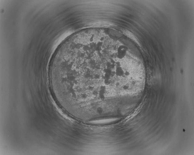 X0000066531087200604071611