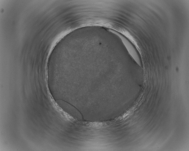 X0000066531088200604071611