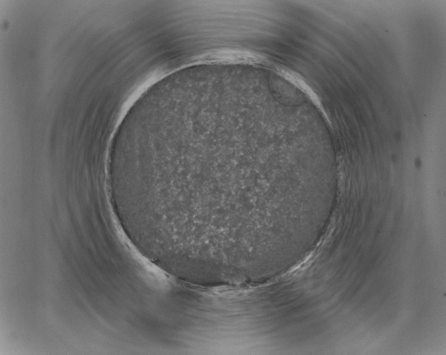 X0000066531091200604071611