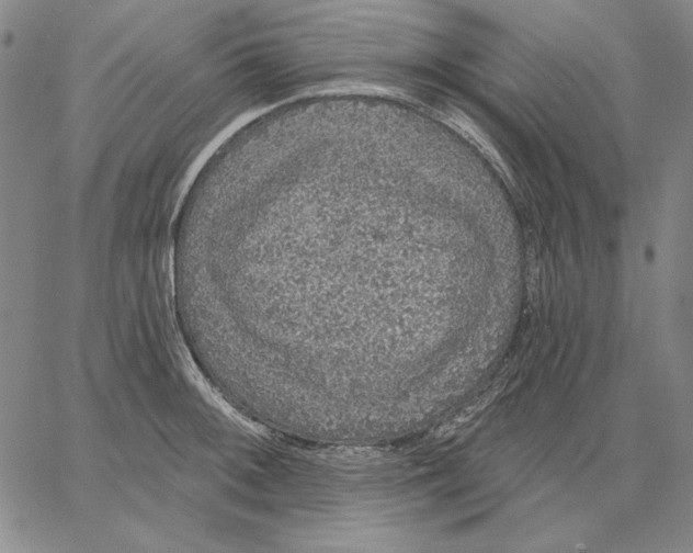 X0000066531092200604071611