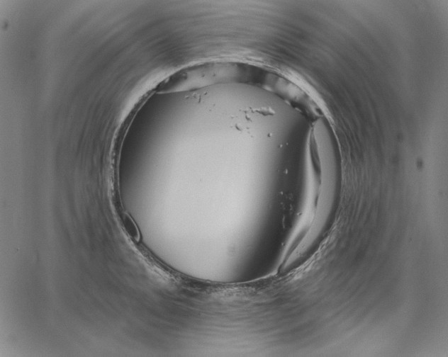 X0000066531093200604071611