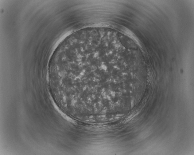 X0000066531095200604071611