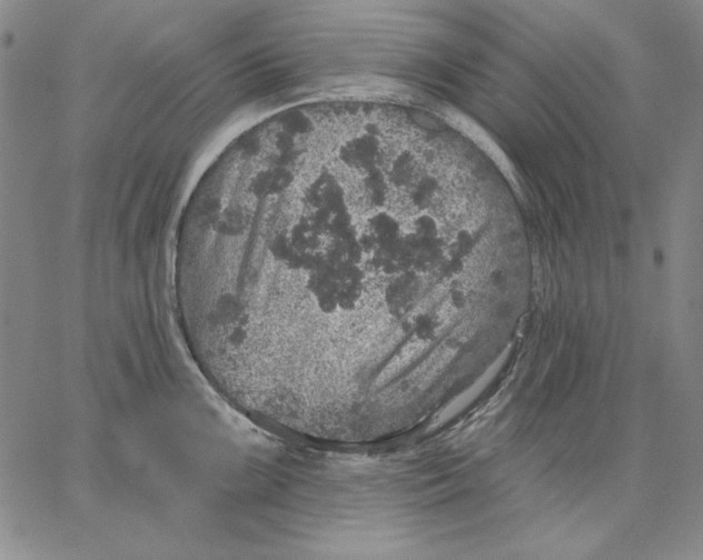 X0000066531099200604071611