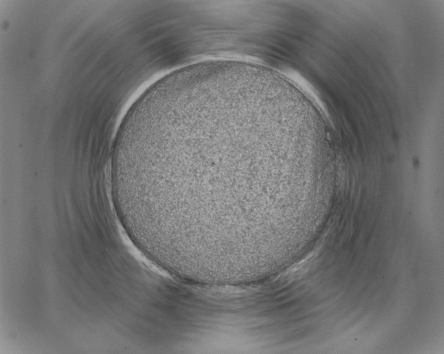 X0000066531100200604071611