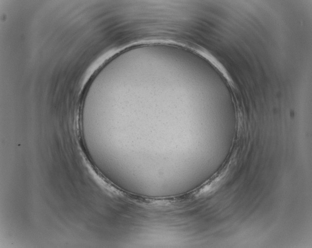 X0000066531101200604071610